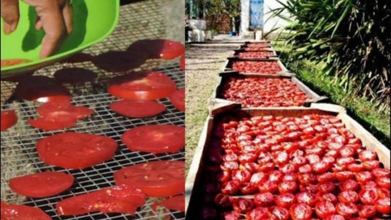 Σπιτική Συνταγή για να Φτιάξουμε Λιαστές Ντοματούλες μόνοι μας με 3 τρόπους!